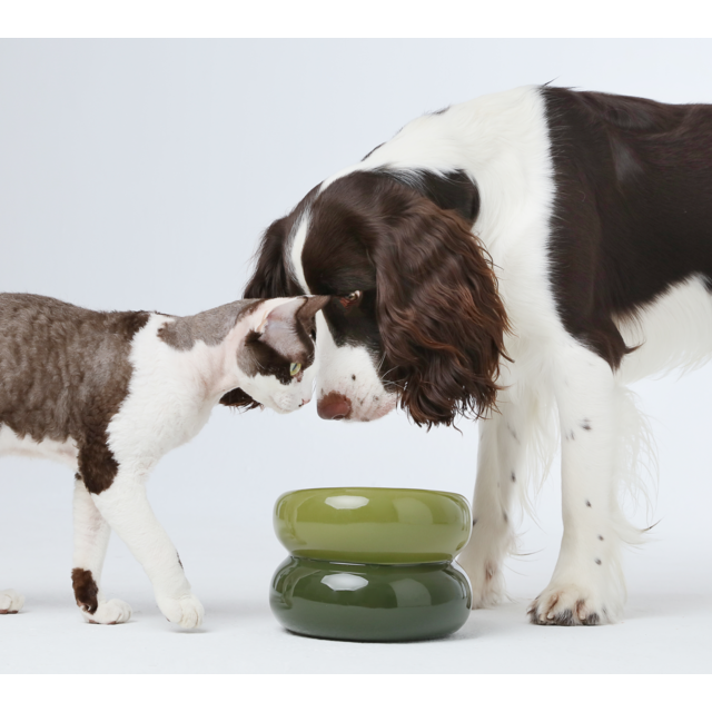 Pehom Soufflé Pet Bowl - Avocado Green