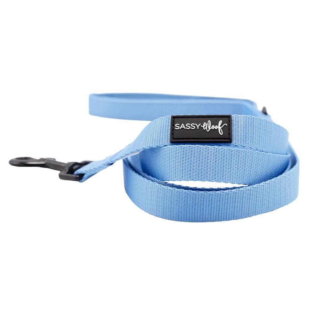 Sassy Woof Dog Leash - Hydrangea
