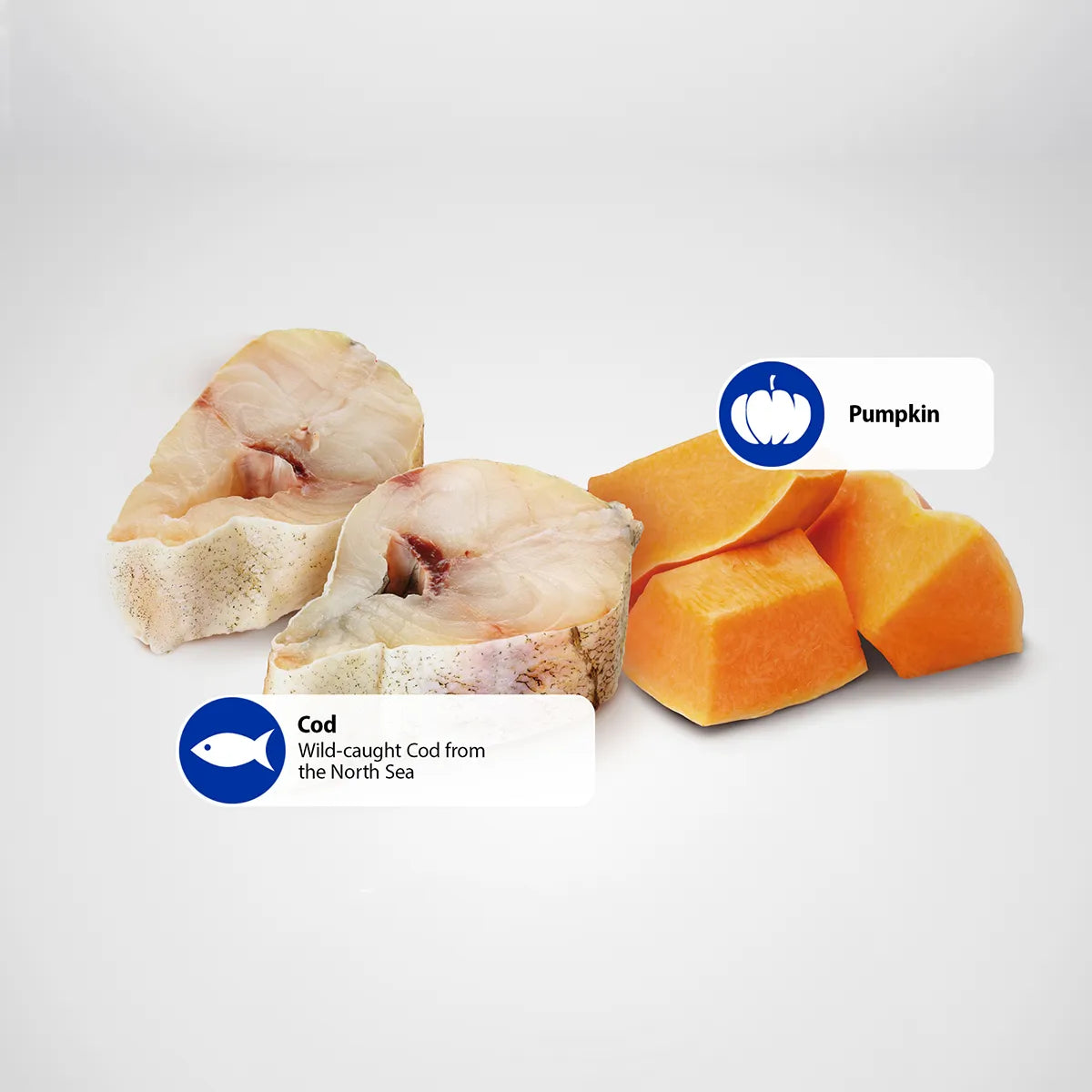 Farmina Dog Grain-Free Ocean Cod Pumpkin 10oz