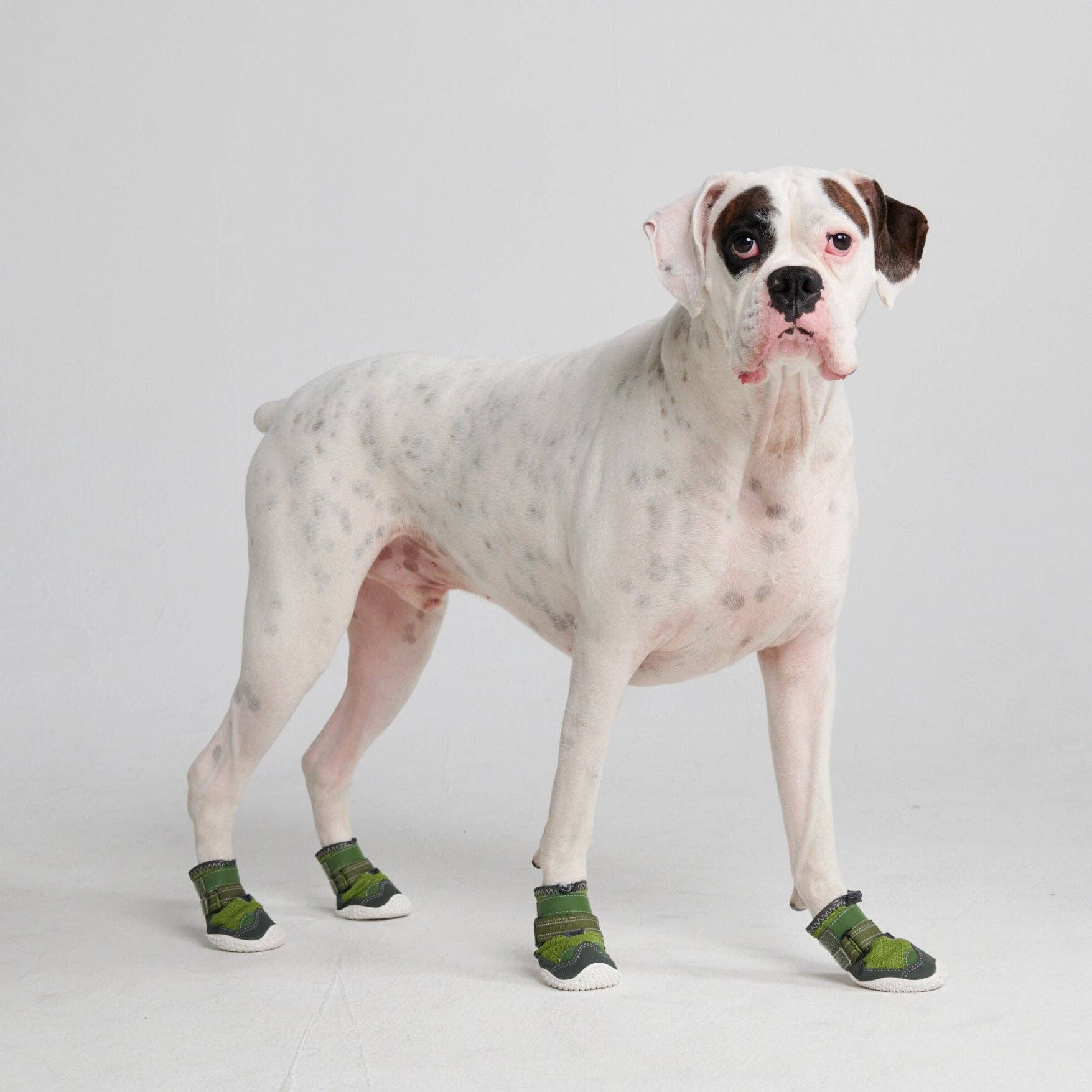 Spark Paws Pavement Pawtector Green