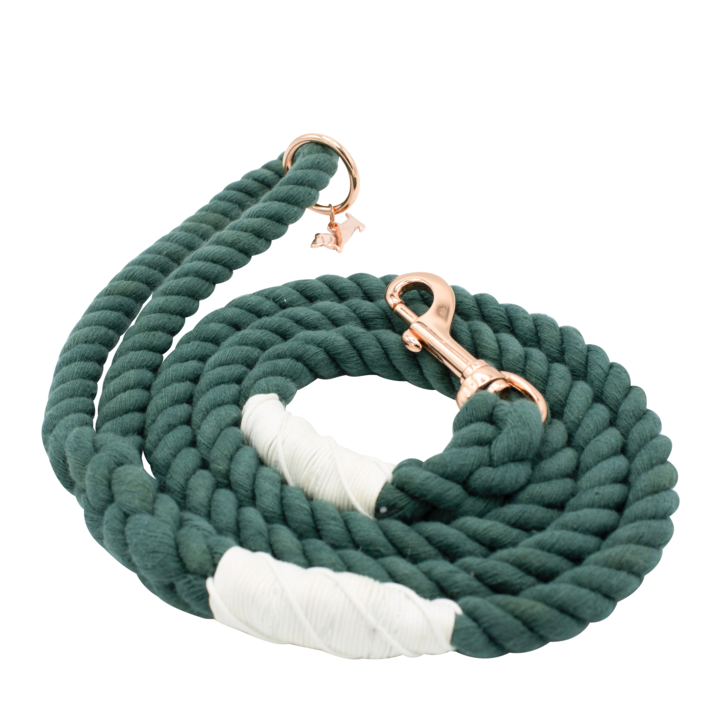 SASSY WOOF Rope Leash - Emerald