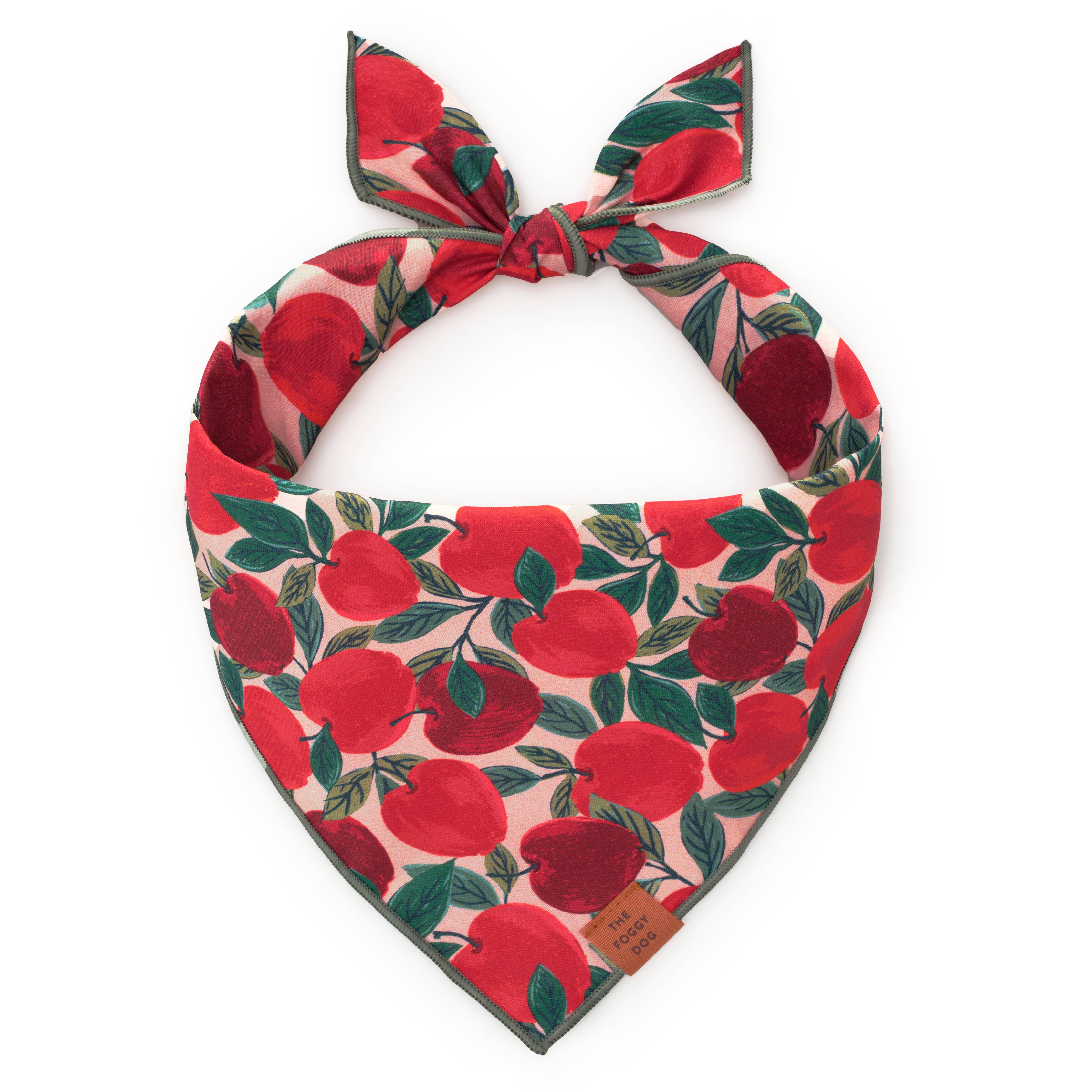 The Foggy Dog Apple of My Eye Fall Dog Bandana
