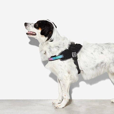Zee.Dog Fly Harness - Gotham