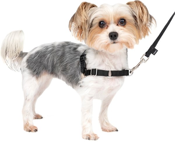 PetSafe Easy Walk Petite Black/Silver