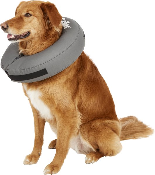 ZenPet ZenCollar