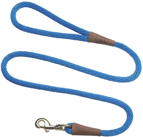 Mendota Snap Leash- Blue