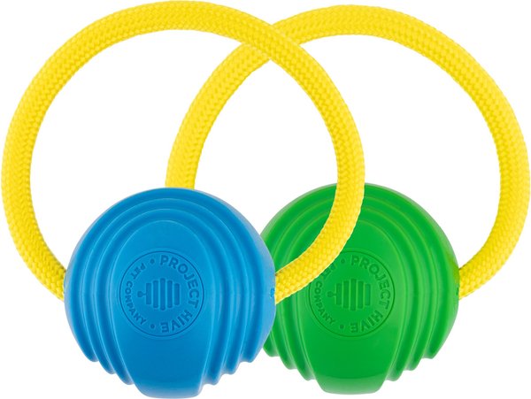 Project Hive Looped Ball - Small / 2-pack - Green & Blue Tug