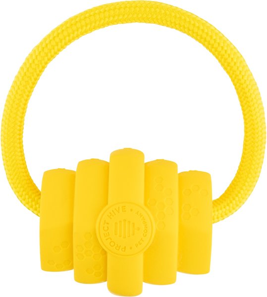 Project Hive Looped Hive Toy - Small Tug & Fetch