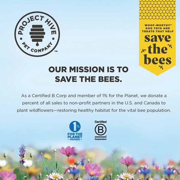 Project Hive Looped Hive Toy - Small Tug & Fetch