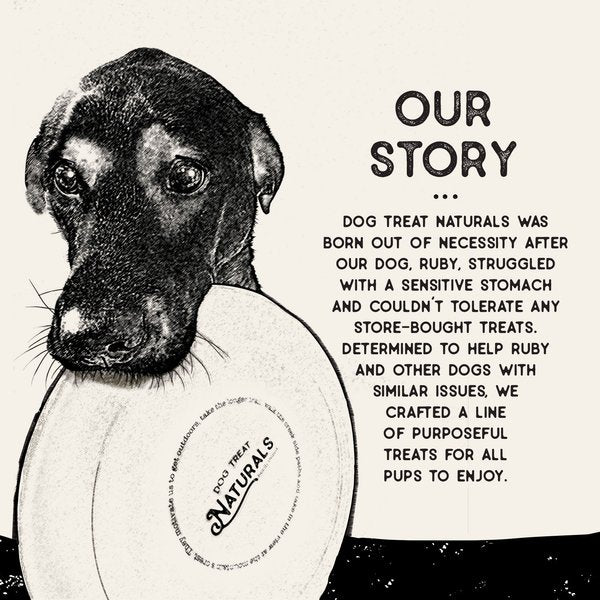 Dog Naturals Superfood Lamb & Date 10oz