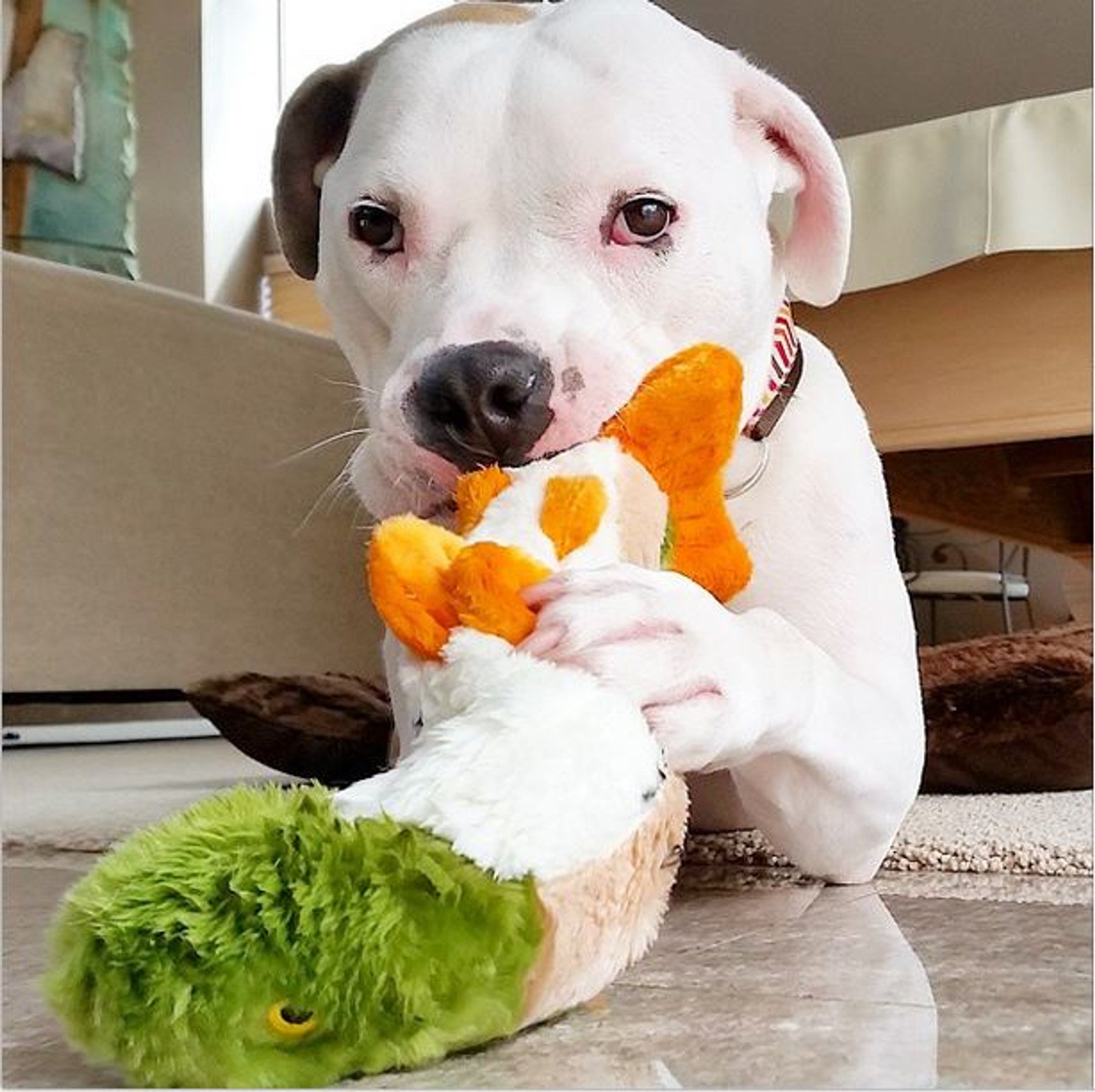 Fluff & Tuff Ruby Rainbow Trout