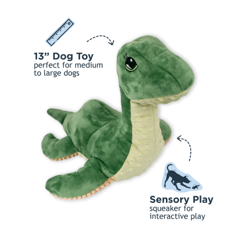 Tall Tails Dog Nessie Rope Inner Structure Squeak Crinkle 13 Inches