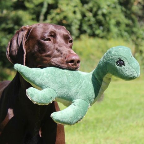 Tall Tails Dog Nessie Rope Inner Structure Squeak Crinkle 13 Inches