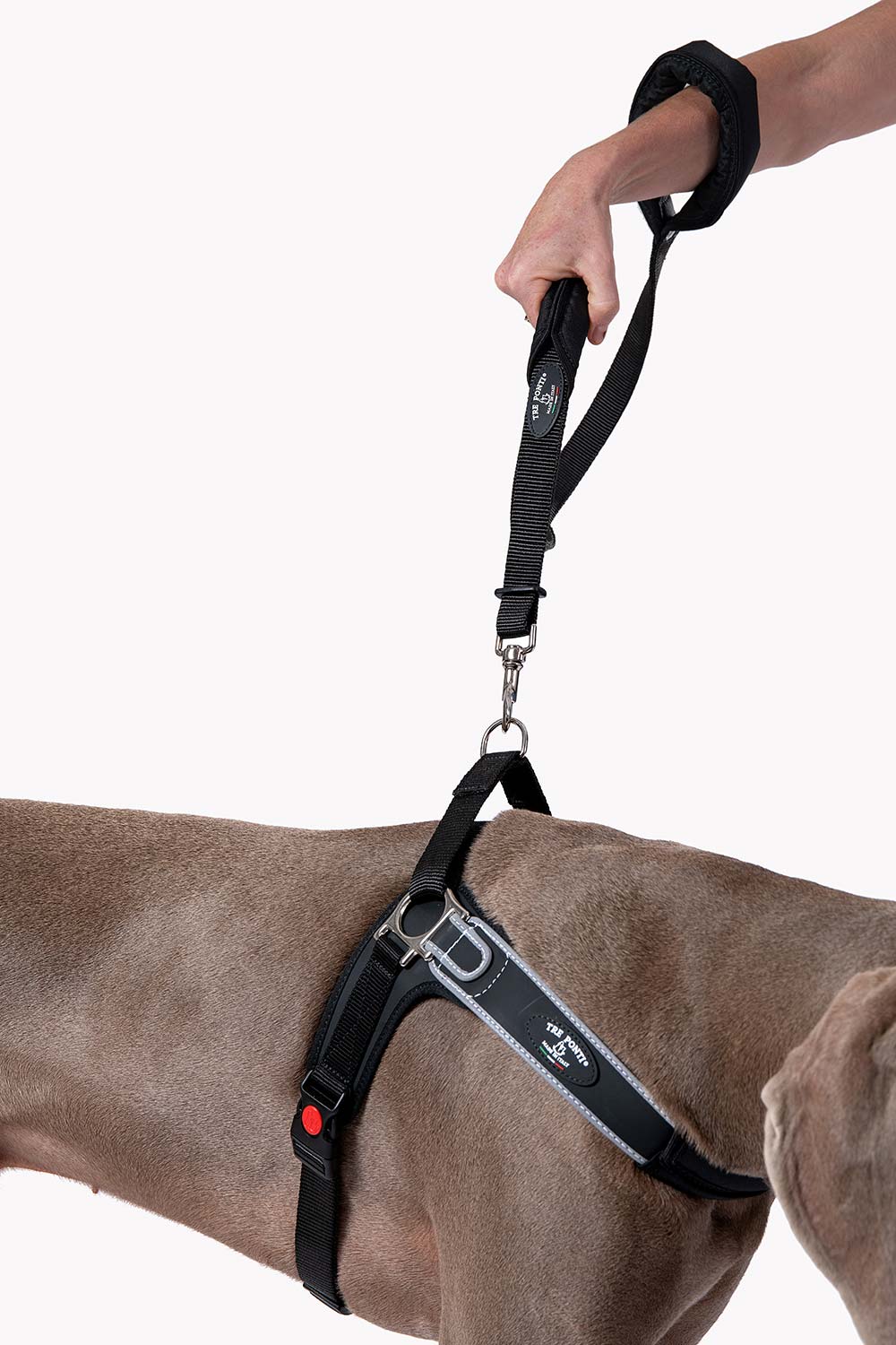 Tre Ponti Forza No Harness Black