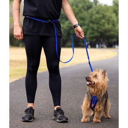 EzyDog Road Runner Lite Leash - Red