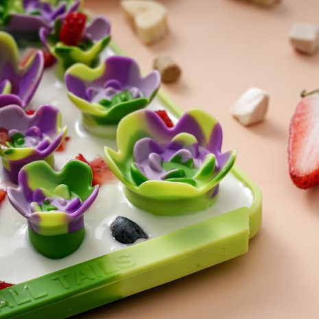 Tall Tails Foraging Mat Succulent