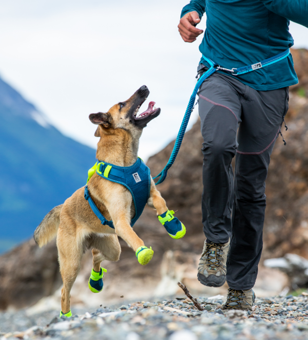 Rc Pets Apex Boots Dark Arctic Blue/Tennis