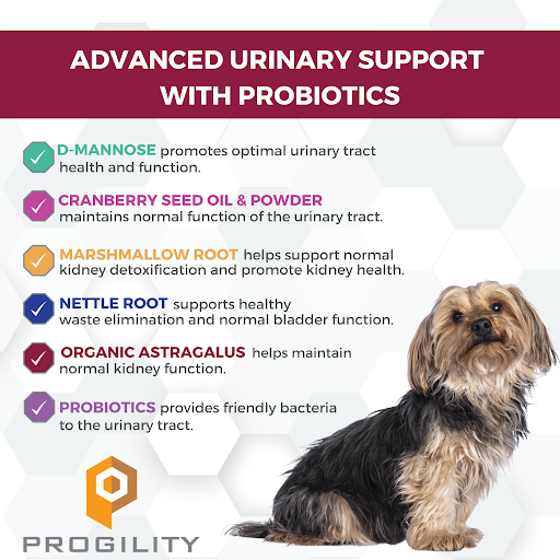 Progility Urinary Support With D-Mannose