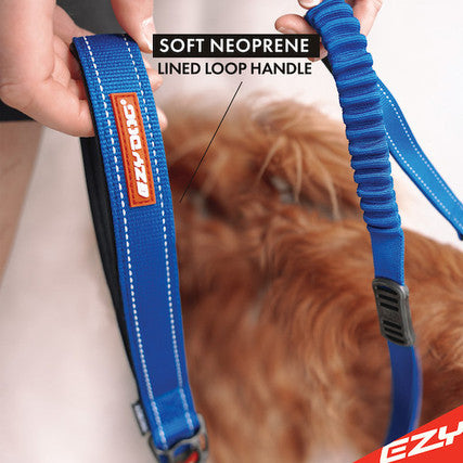 EzyDog Zero Shock Leash - Blue