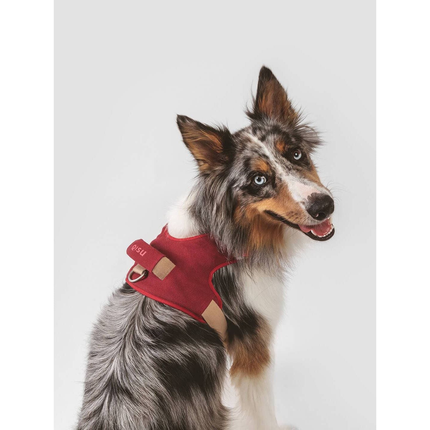 Qisu Hug Harness