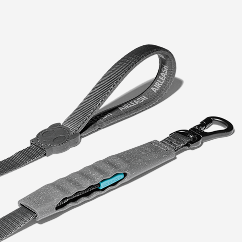 Zee.Dog Airleash - Carbon
