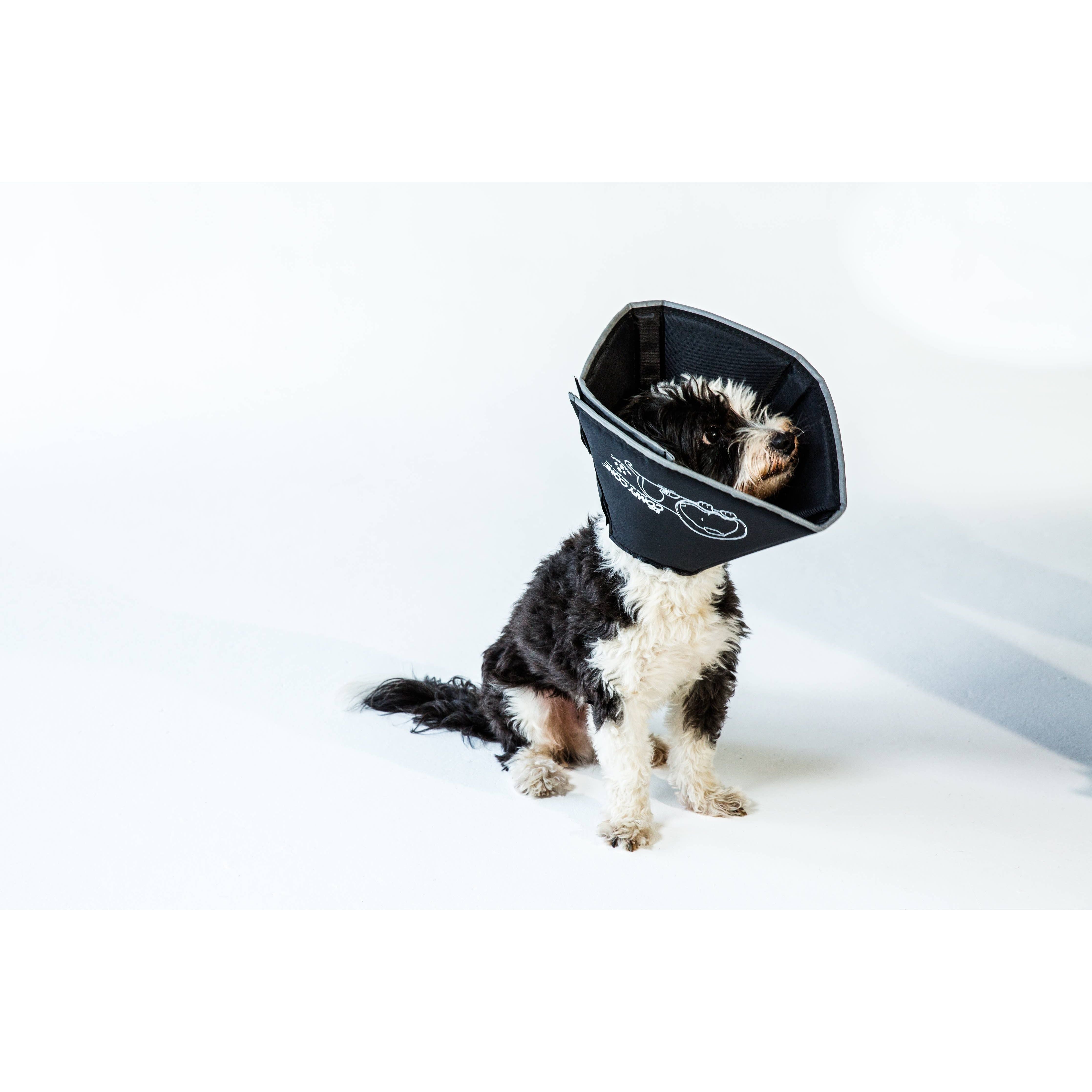 Recovery Collar All Four Paws Comfy Cone Dog Collar All Four Paws