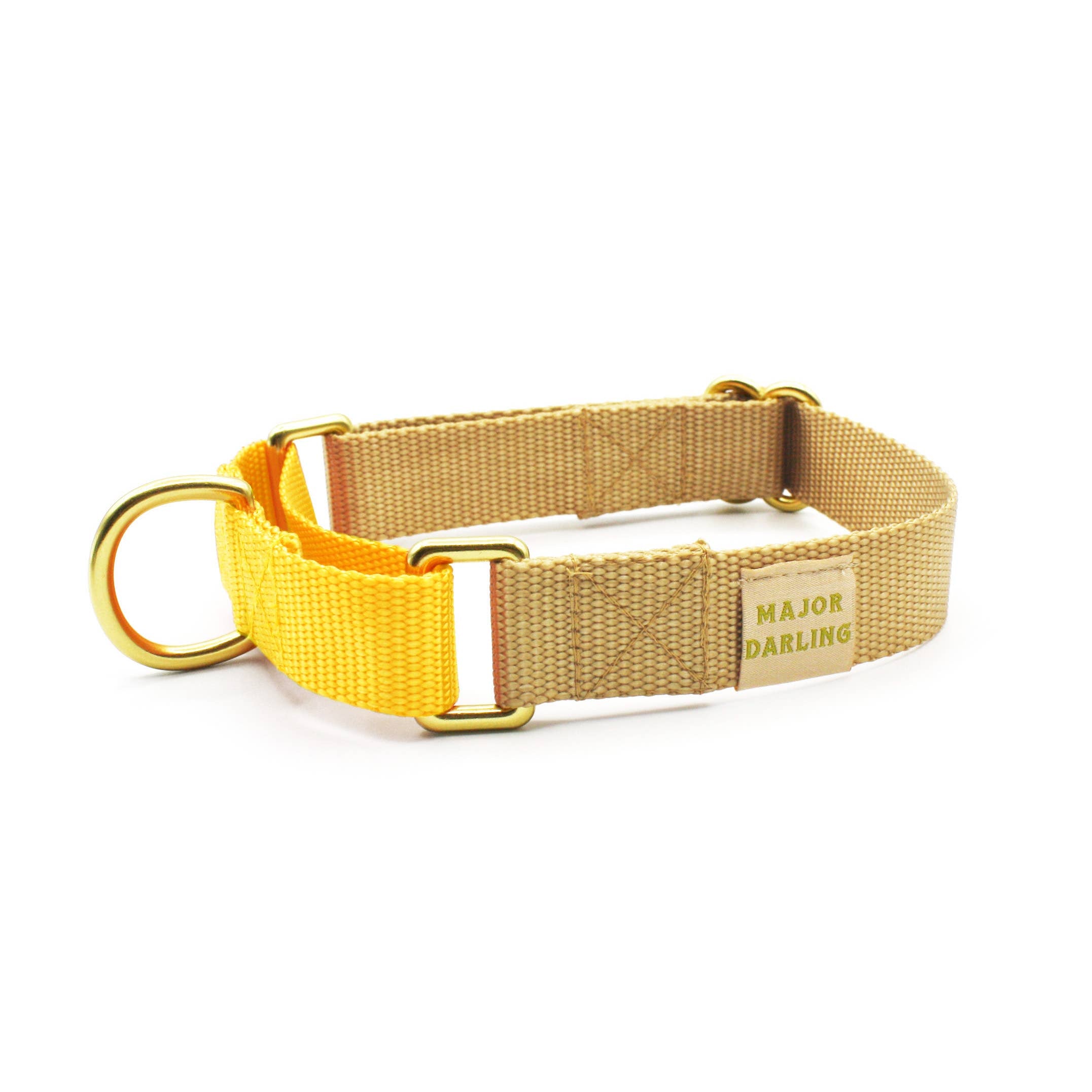 Major Darling Gold with Dandelion Martingale Collar