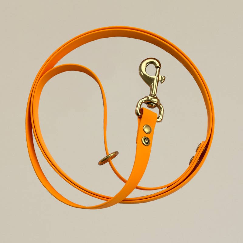 Gula Dog Care Biothane Dog Leash 170CM