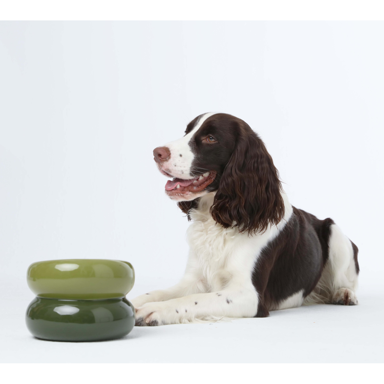 Pehom Soufflé Pet Bowl - Avocado Green