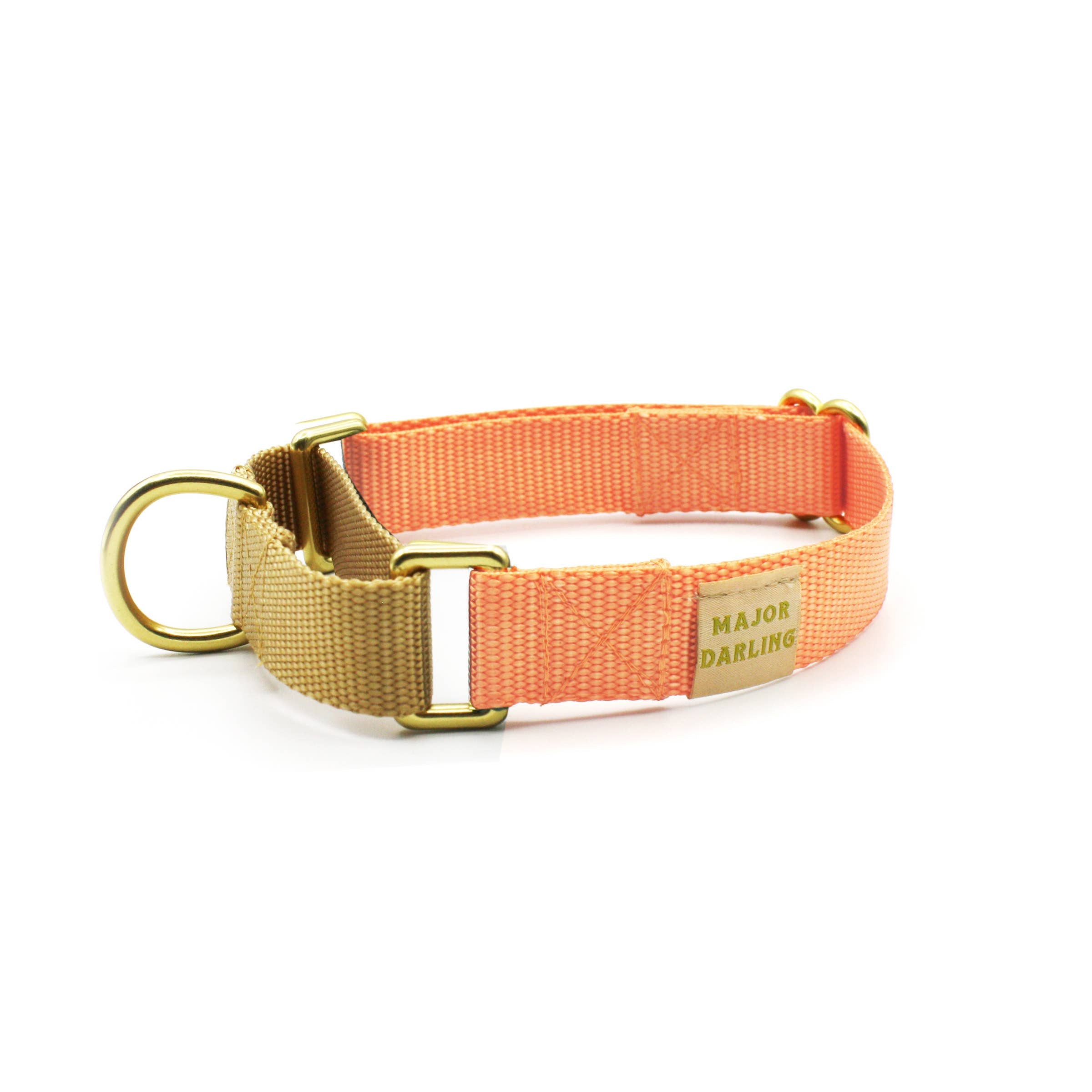Major Darling Peach with Gold Martingale Collar