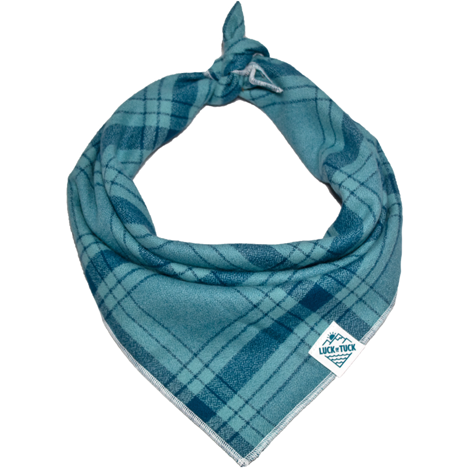 Luck of Tuck Tetra Dog Bandana