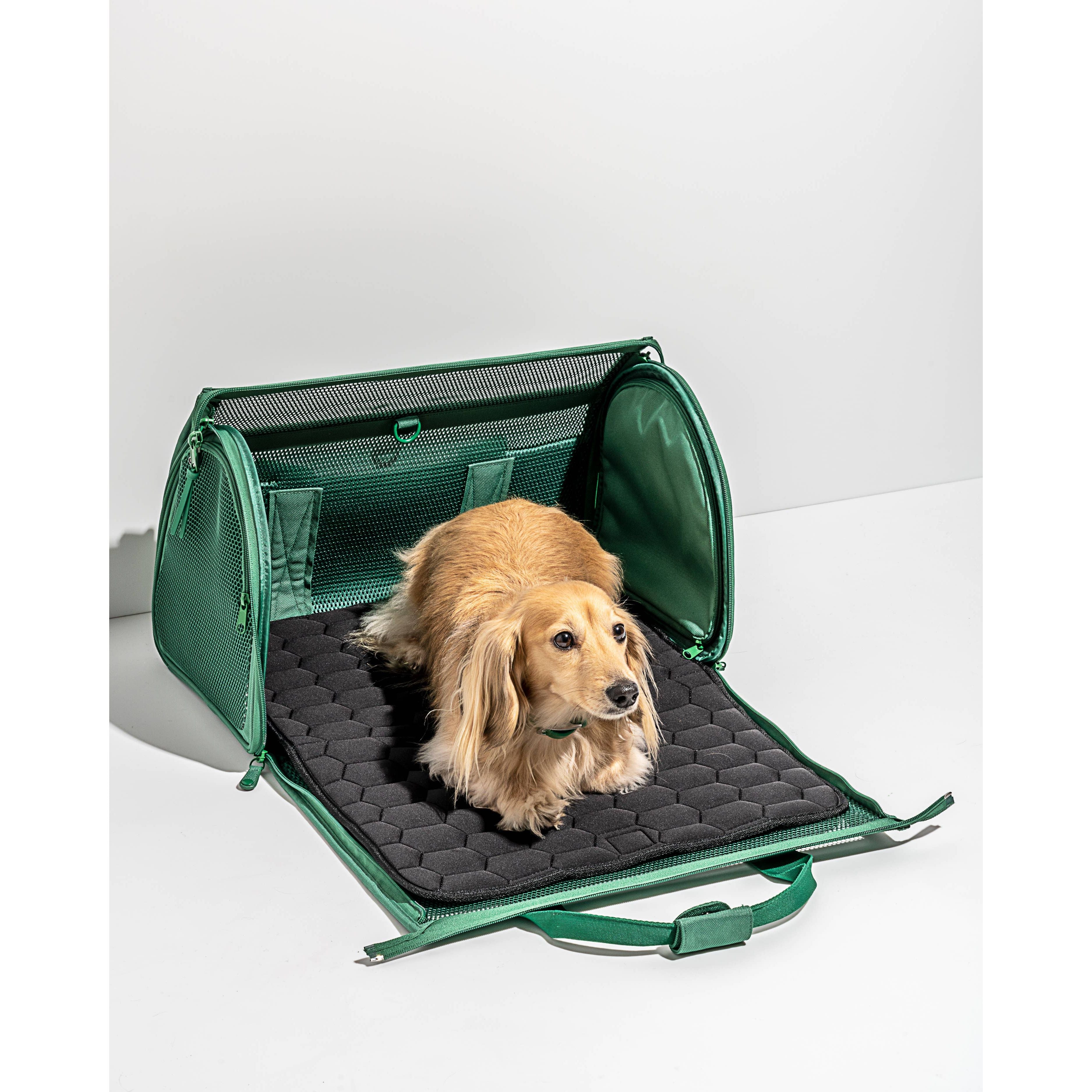 Wild One Travel TSA Compliant Pet Dog Carrier