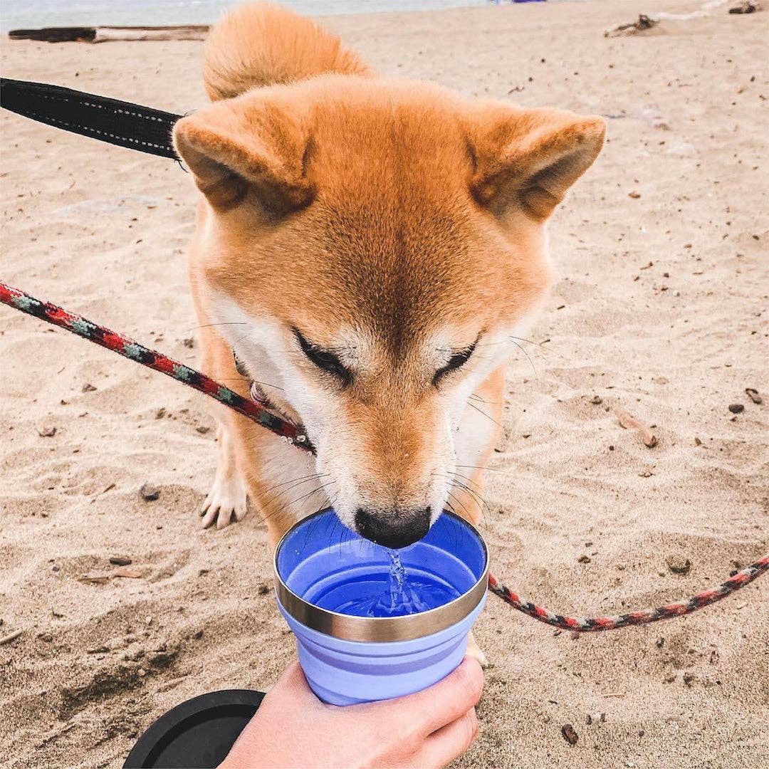 Hydaway Collapsible Cup