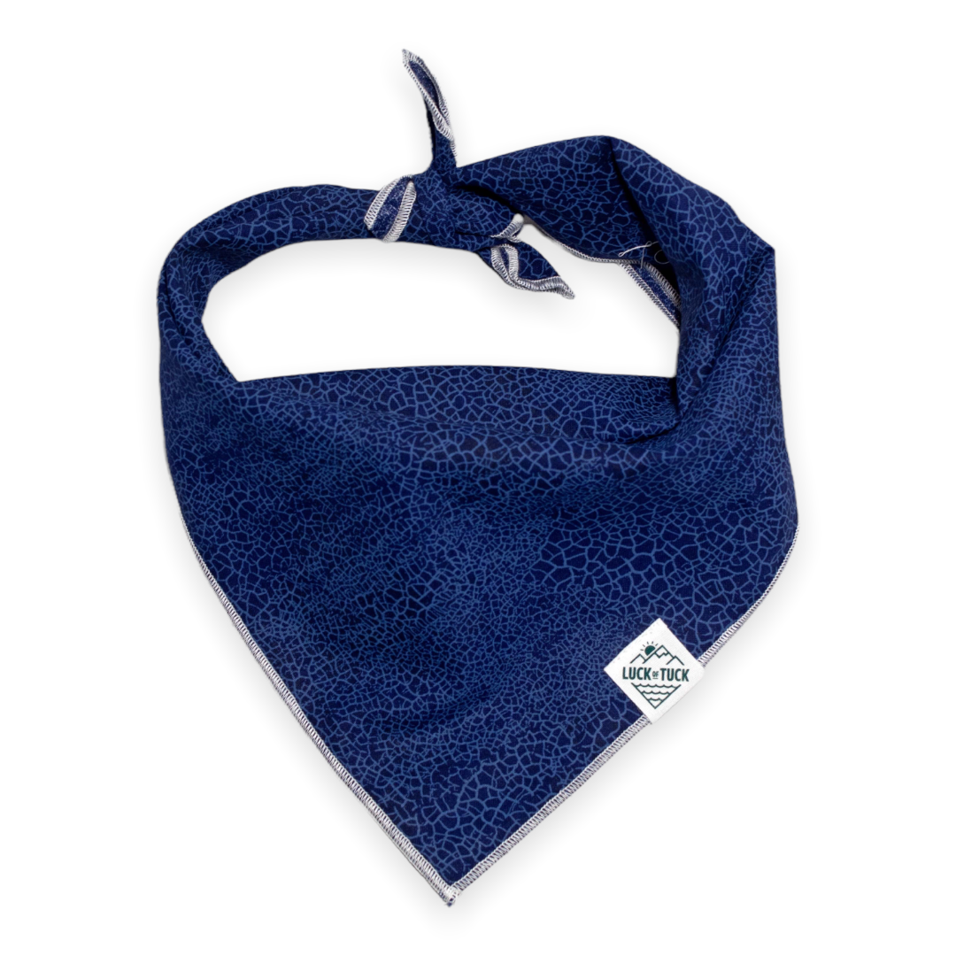 Luck of Tuck Bill Dog Bandana