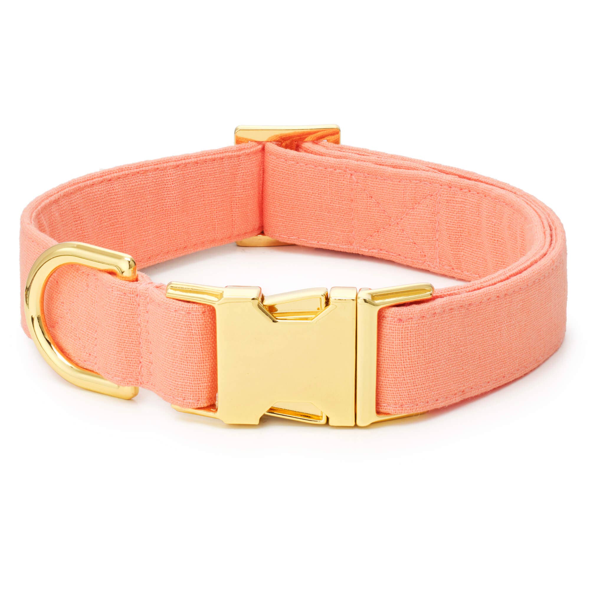 The Foggy Dog Mango Spring Dog Collar