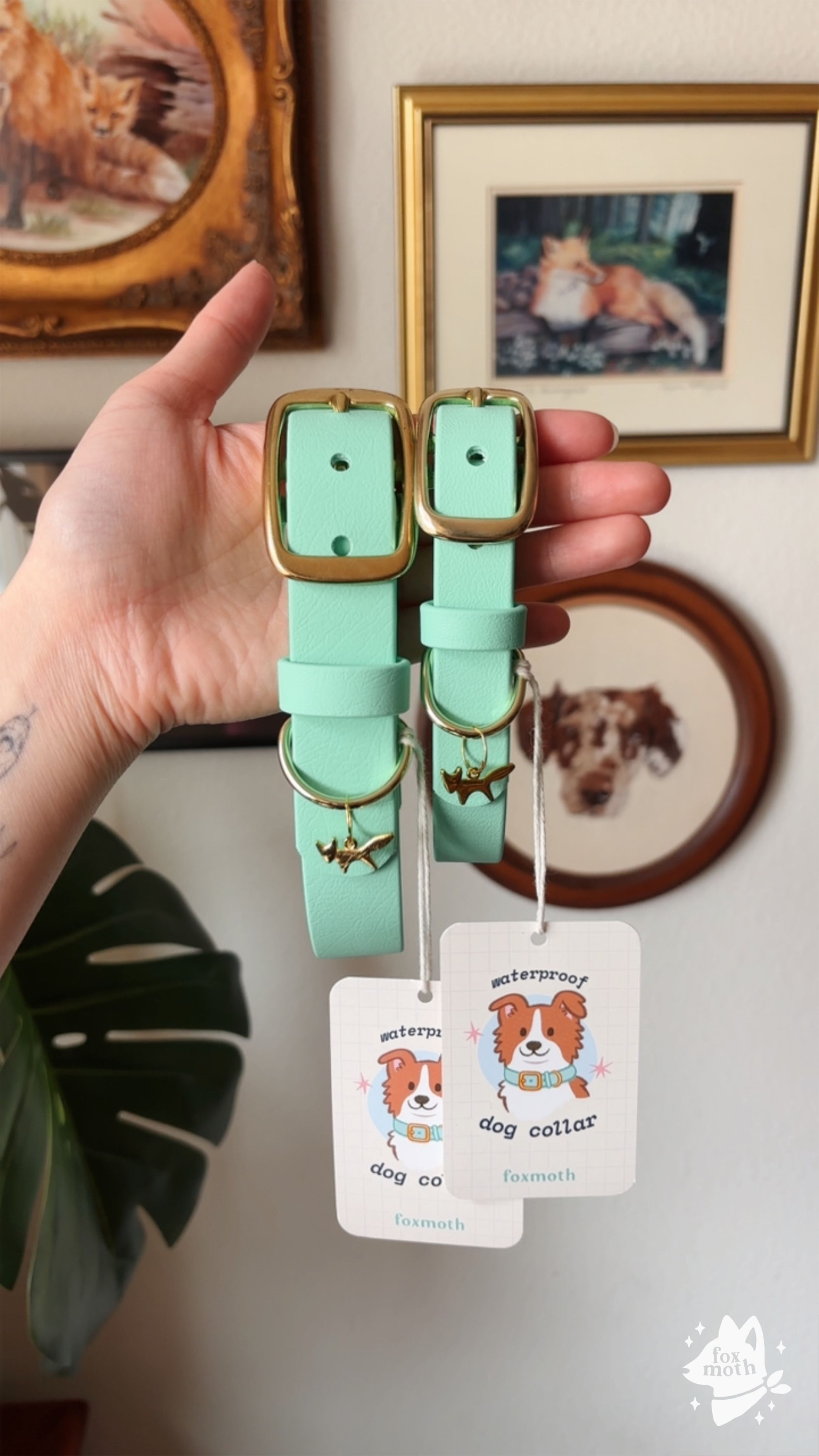 Foxmoth Waterproof Biothane Collar
