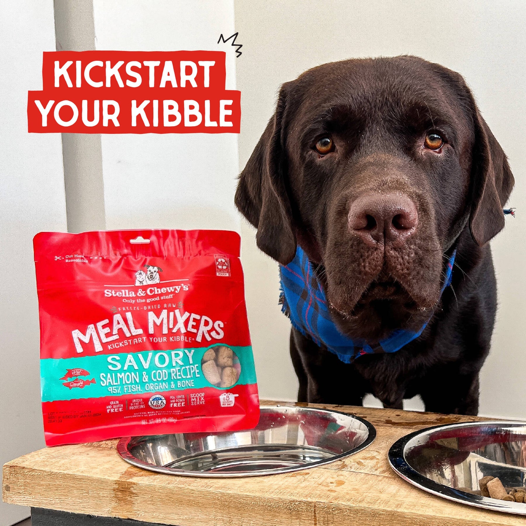 Stella & Chewy's Dog Meal Mixer Lamb FD