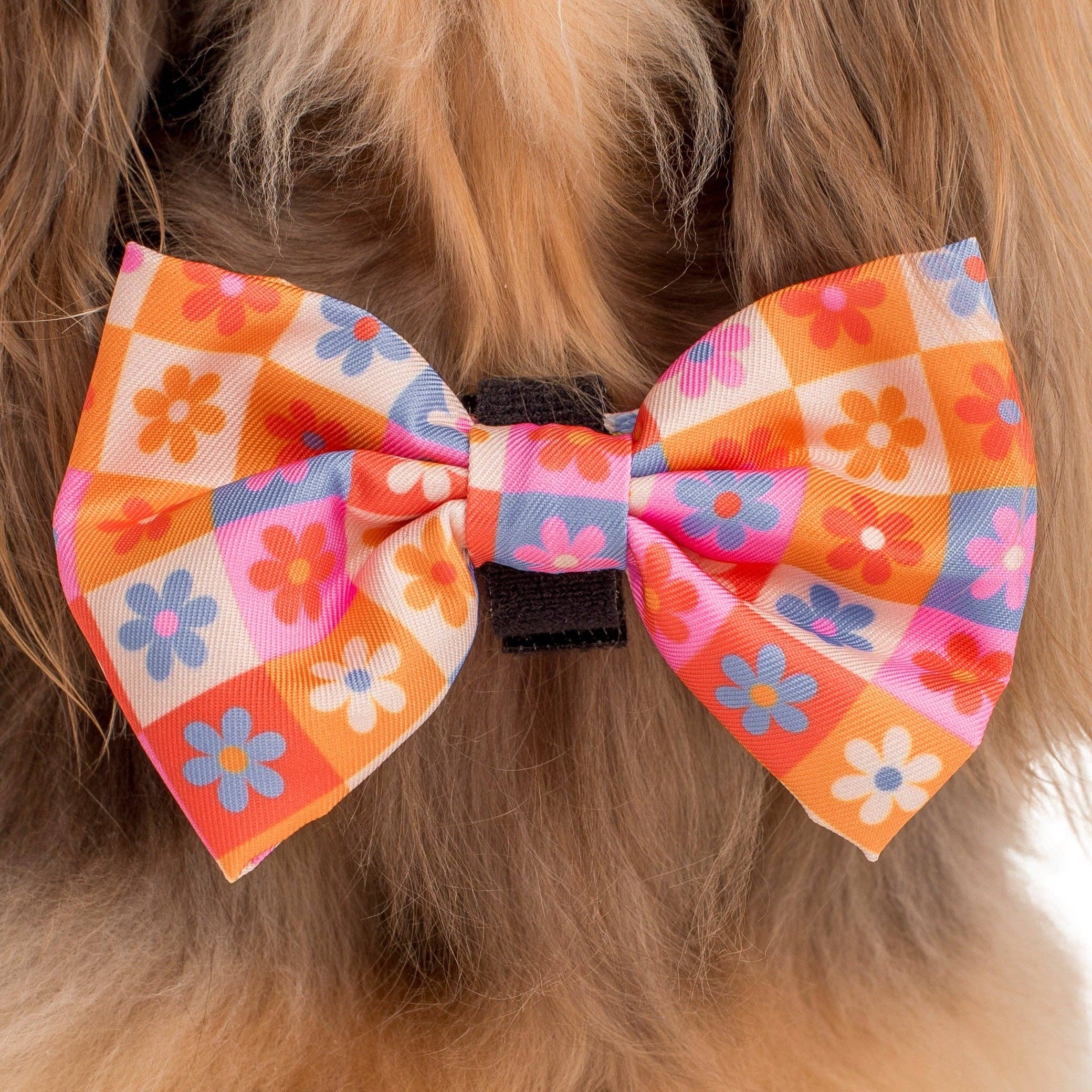 Pablo & Co Daisies For Days: Dog Bow Tie
