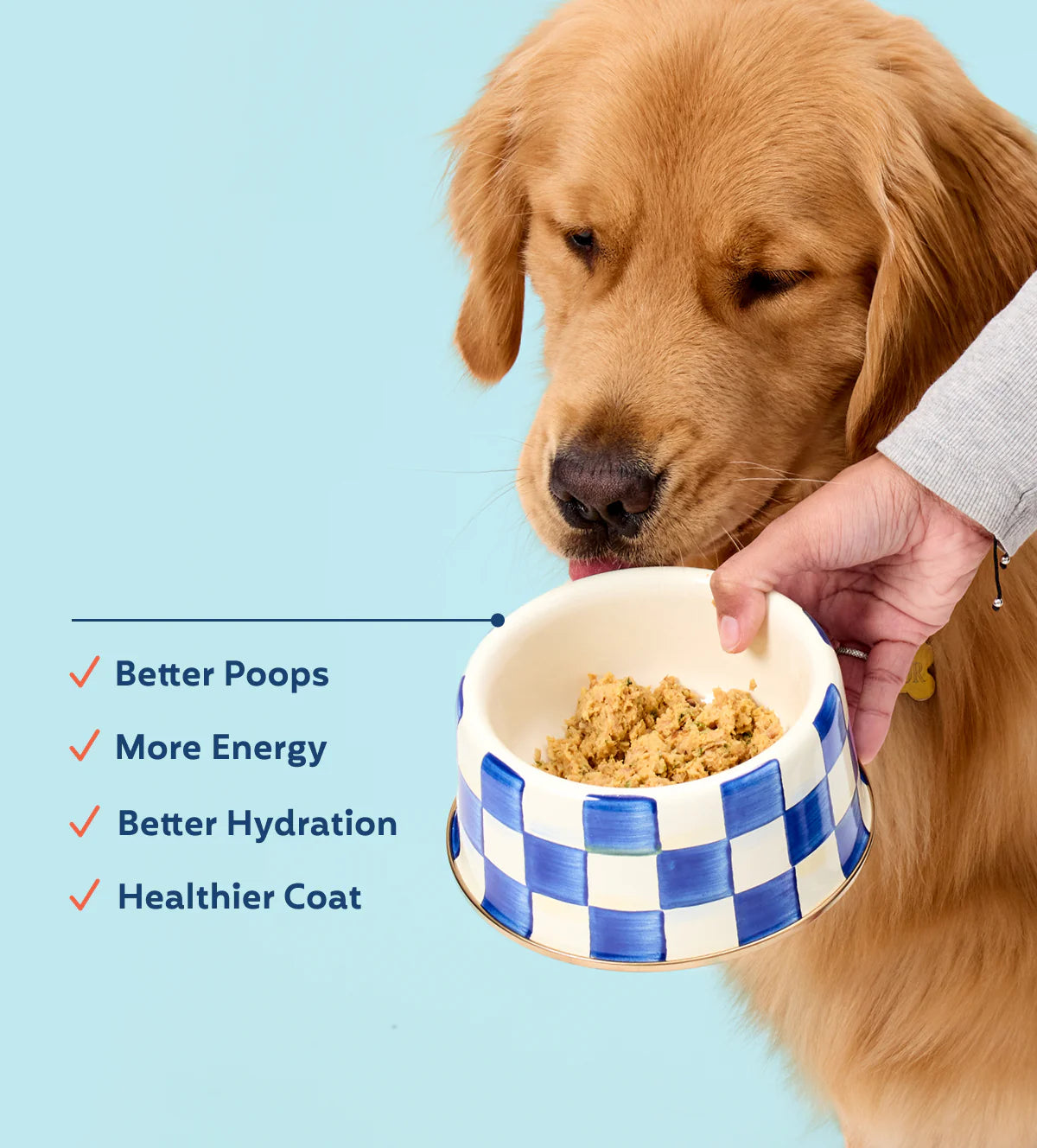 My Perfect Pet Knight's Beef & Vegetable 4lbs