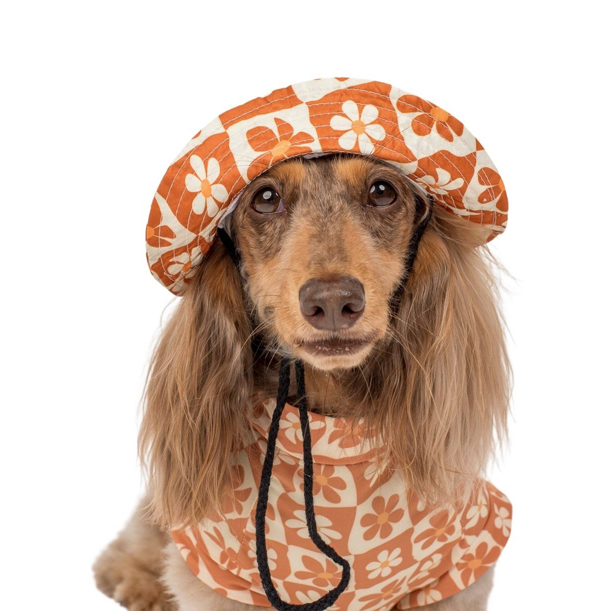 Pable & Co Retro Dazie Cooling Dog Rashie