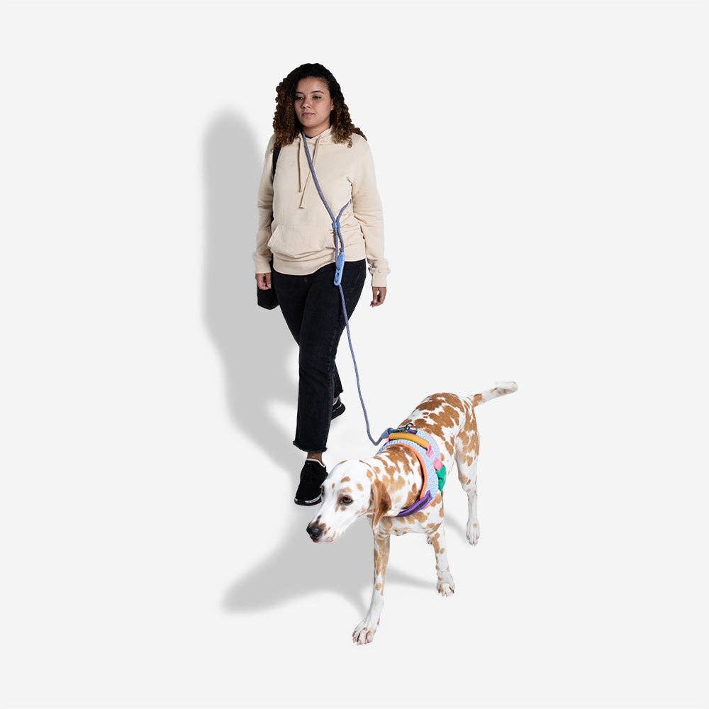 Zee.Dog Hands-Free Leash - Andromeda