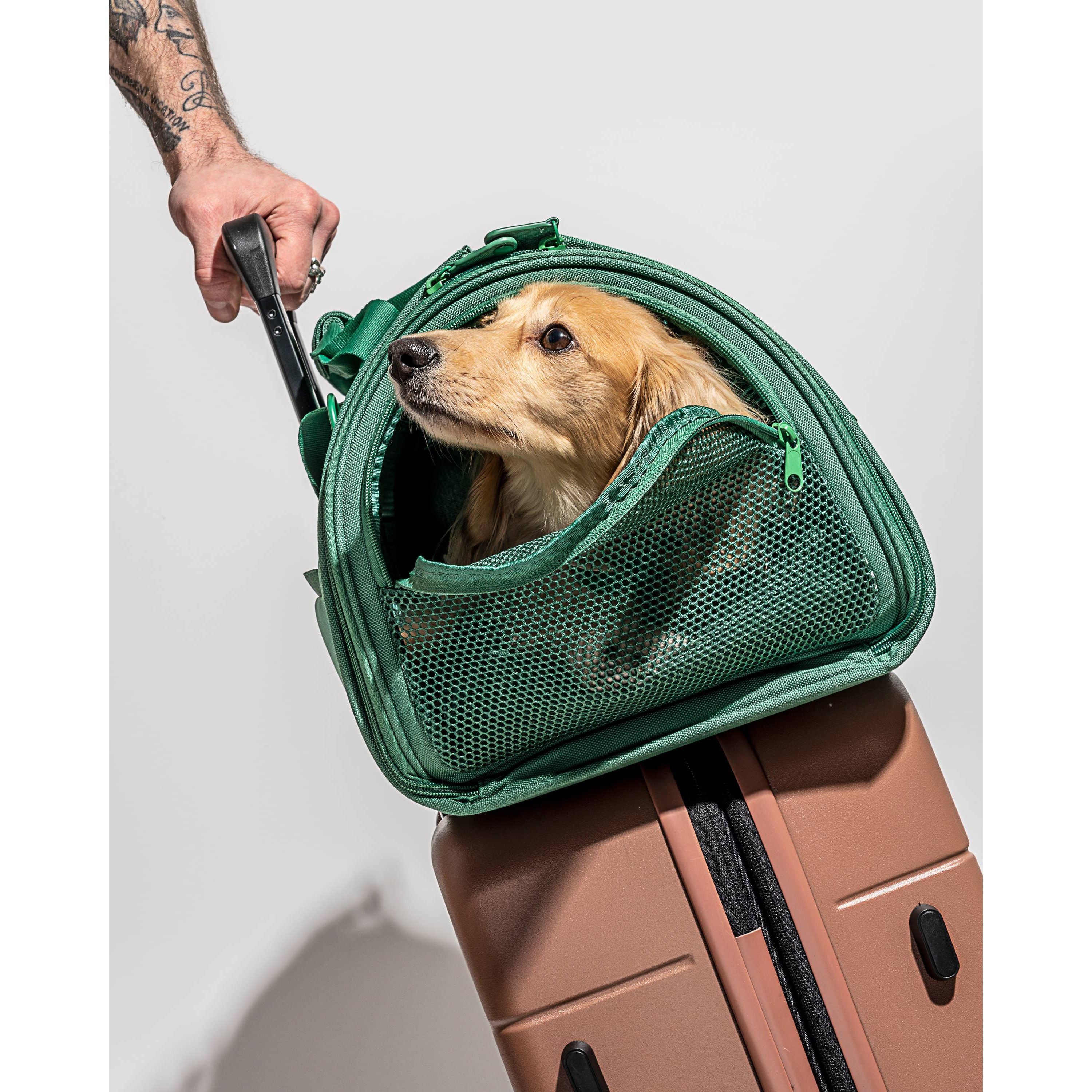 Wild One Travel TSA Compliant Pet Dog Carrier