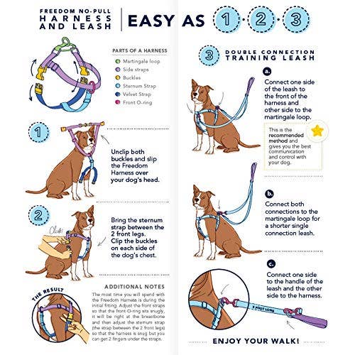 2 Hounds Design Freedom No-Pull Dog Harness with Leash - Turquoise