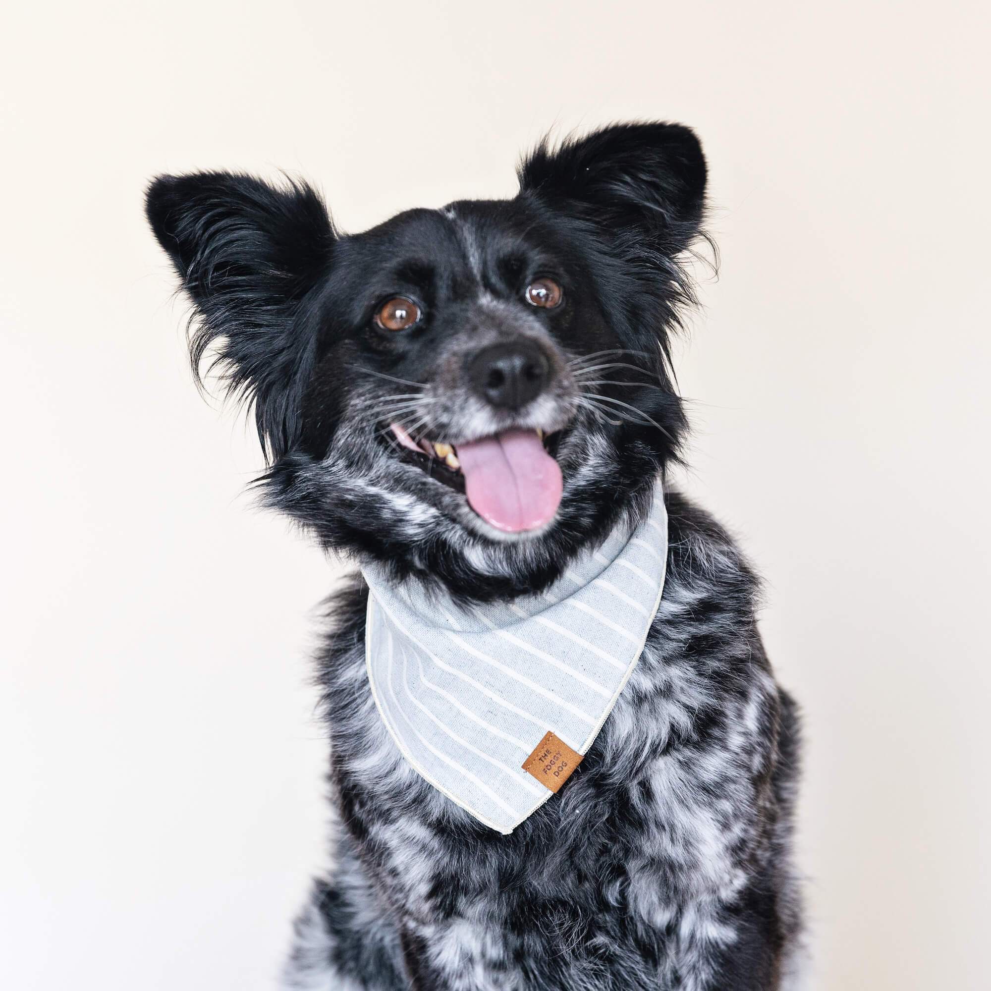 The Foggy Dog Upcycled Denim Stripe Sustainable Dog Bandana