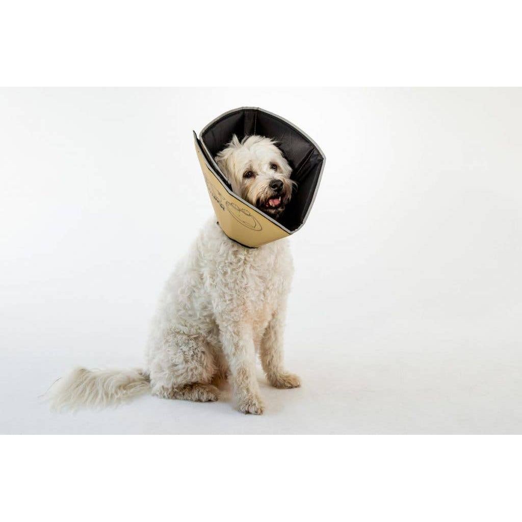 All Four Paws The Original Comfy Cone - M