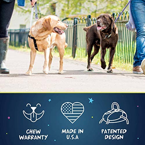 2 Hounds Design Freedom No-Pull Dog Harness with Leash - Turquoise
