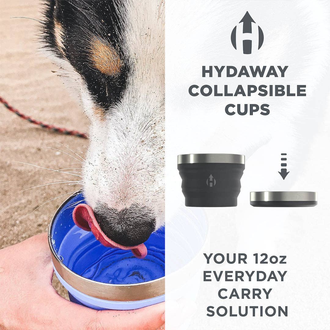 Hydaway Collapsible Cup