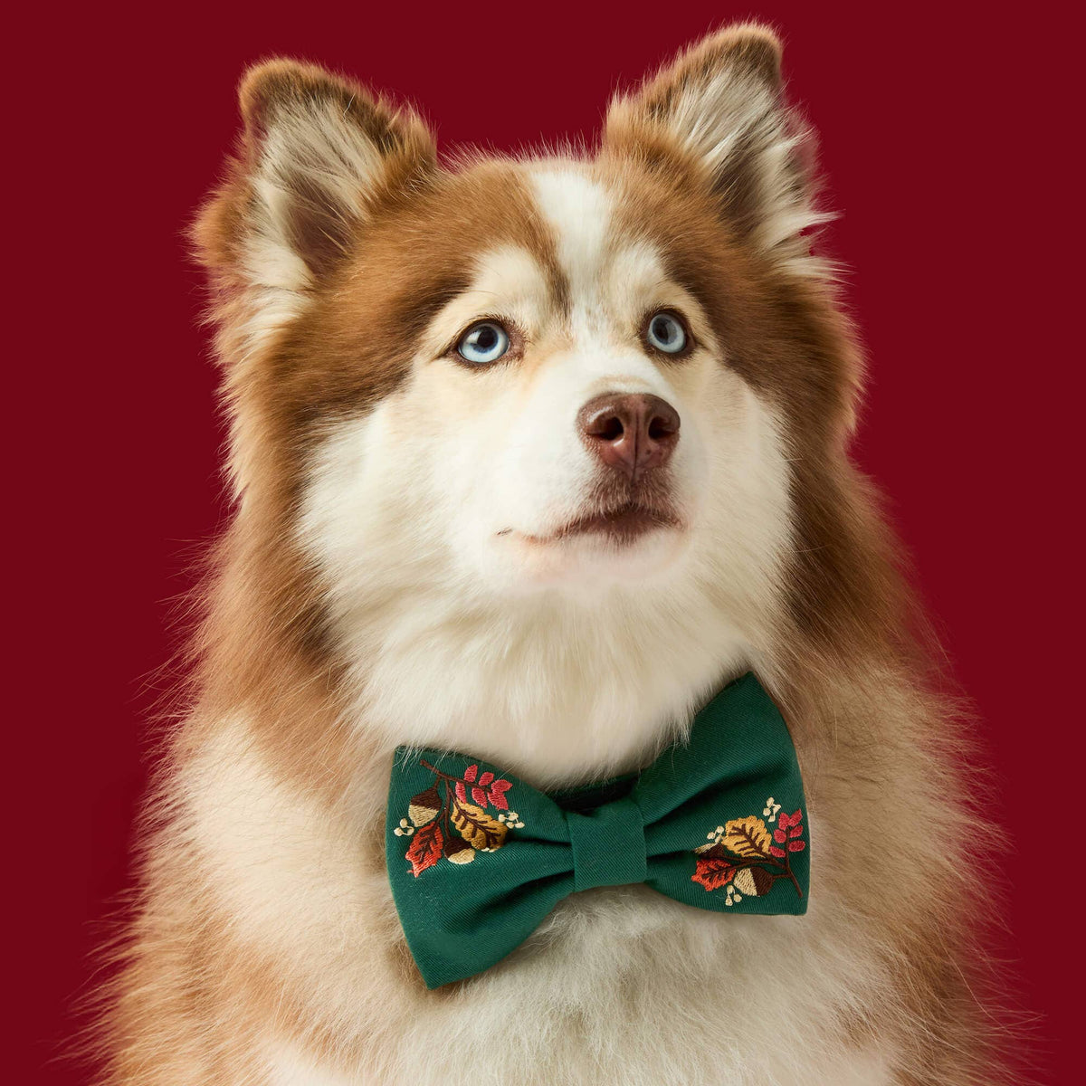 Foggy Dog Fall Foliage Embroidered Dog Bow Tie