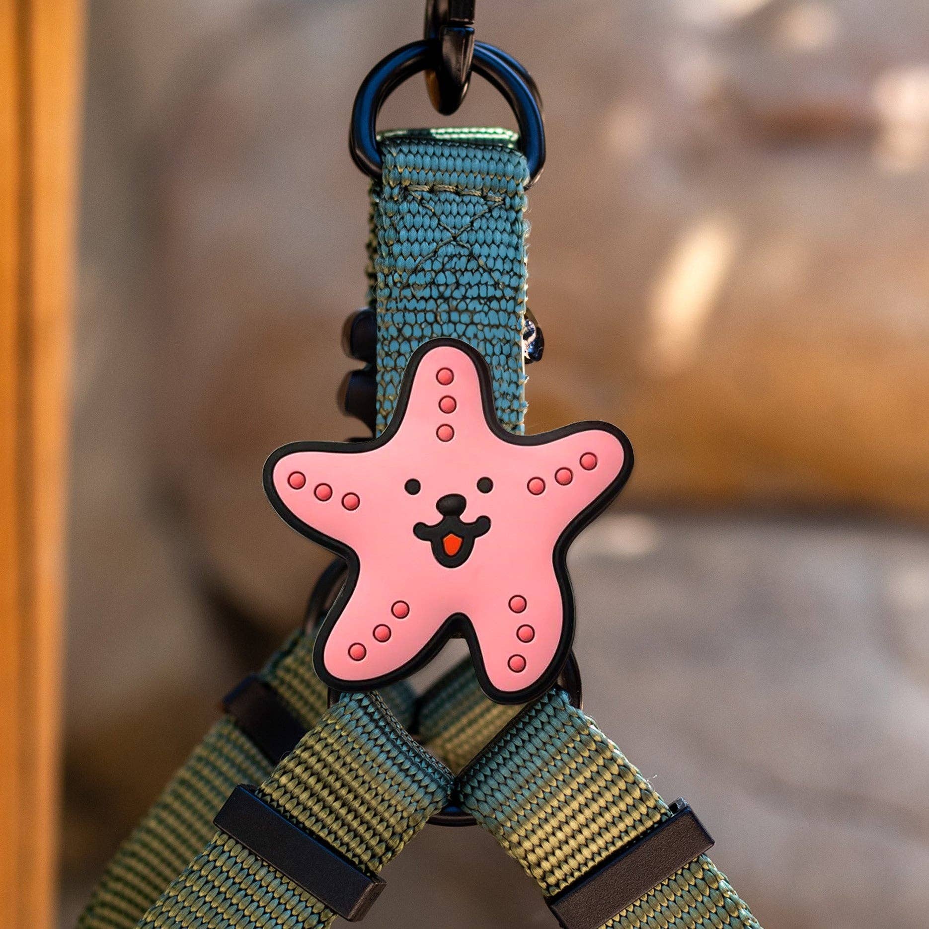 Jiby Starfish Dog