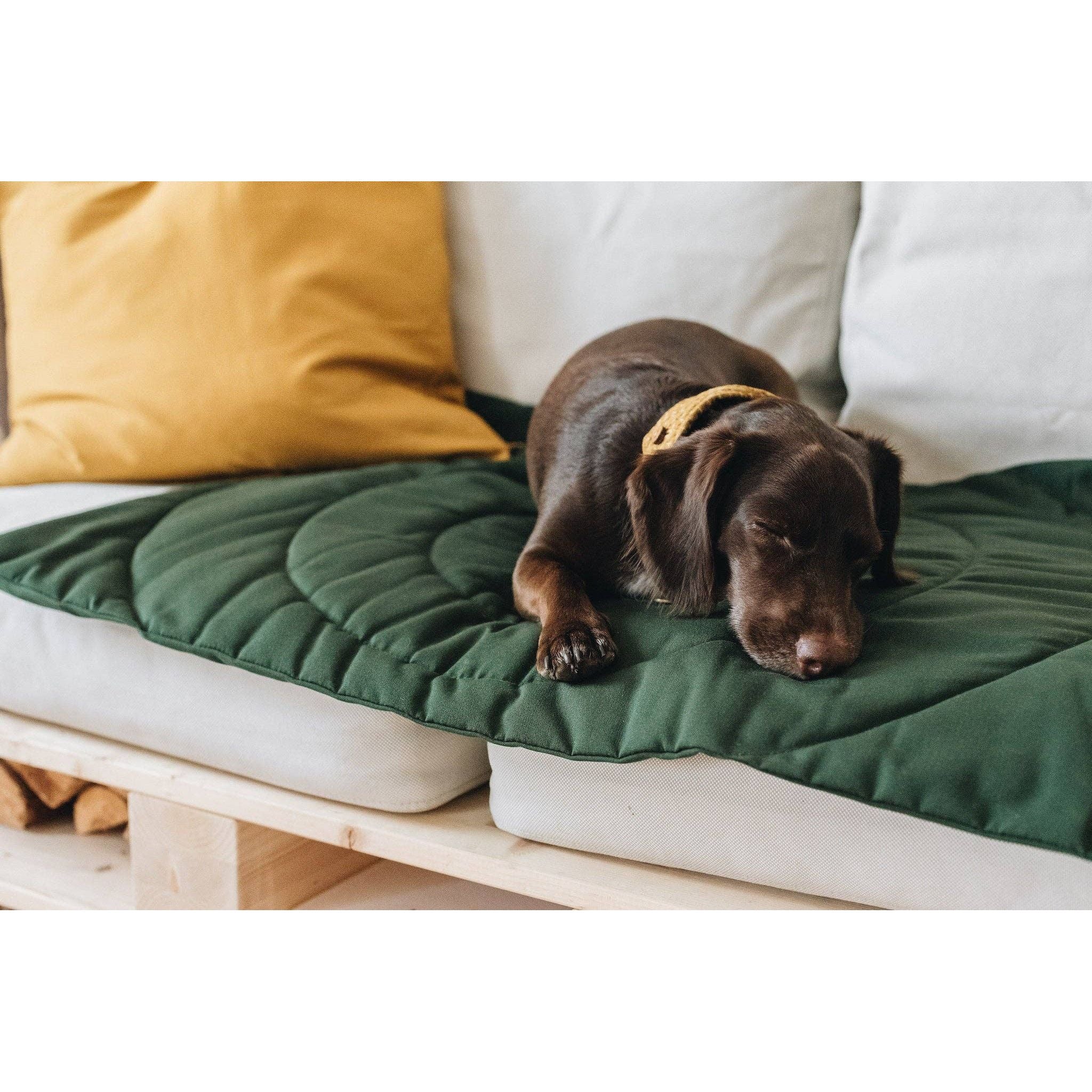 BAND&ROLL DOG TRAVEL BLANKET COMPASS